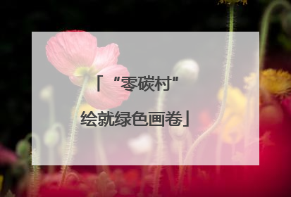 “零碳村” 绘就绿色画卷